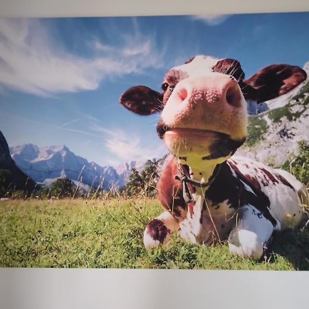 Zuhause In Hofs ,Leutkirch Im Allgaeu Buitenkant foto